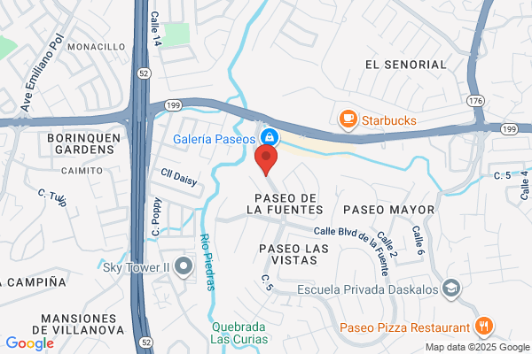 PASEOS HOME OWNERS ASSN
