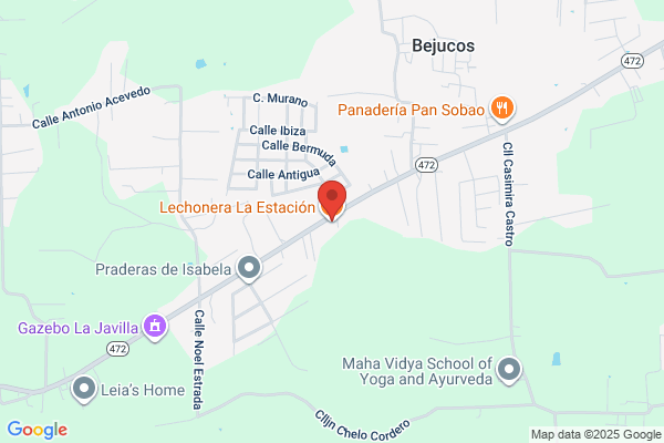 LECHONERA LA ESTACION