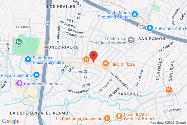 CARLOS A MENDEZ VILLAMI DDS