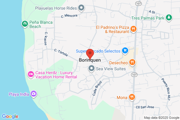 BORINQUEN GAS