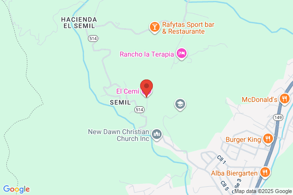 EL ULTIMO CEMI