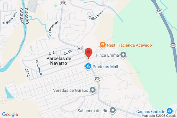 GURABO NOVELTIES
