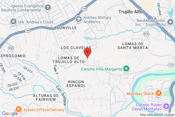 LA FIESTA
