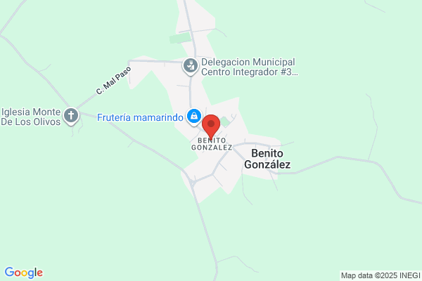 BENITO GONZALEZ INC