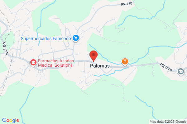 COMERCIAL PALOMAS INC