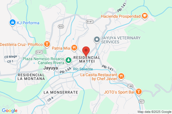 JAYUYA BABY FOOD CTR