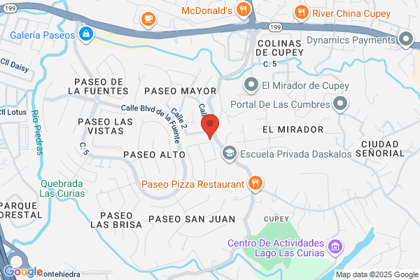 PASEOS DE CUPEY CORP