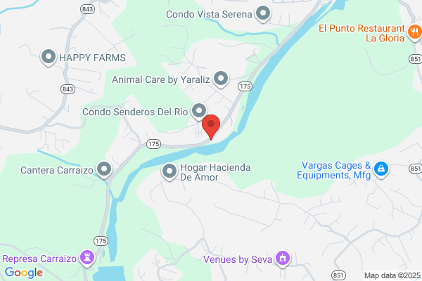 EL FENIX DE PR