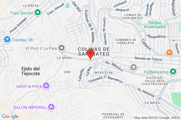 EL GALLO DE ORO INC