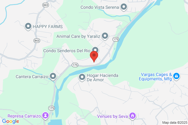 ISLA DE ORO