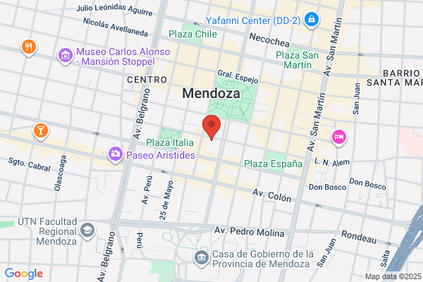 MENDOZA FINANCE