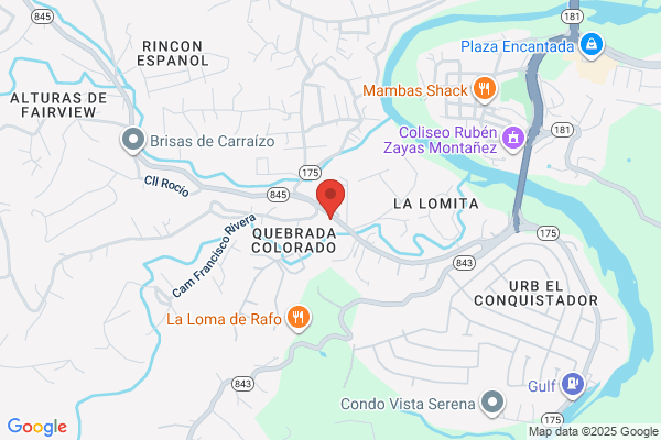 MECANICA POLANCO