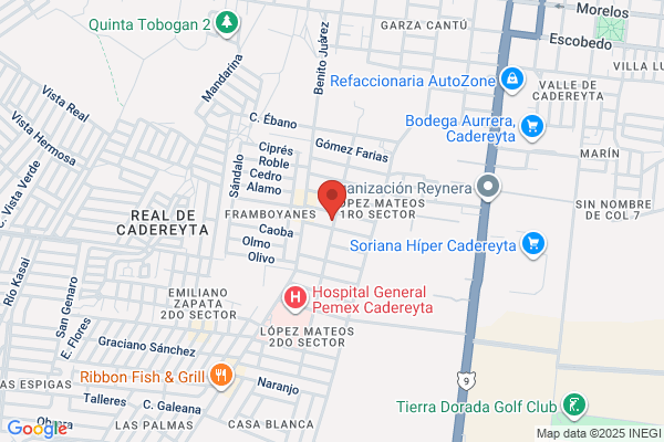 CARNICERIA PLAZA JUNIOR