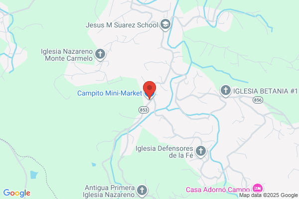 COLMADO EL CAMPITO
