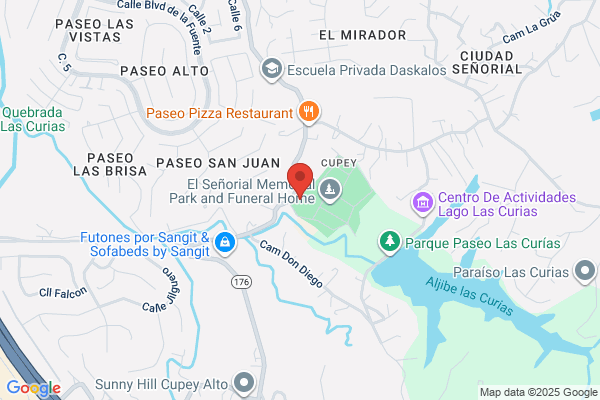 CARRASQUILLO ICE PLANT INC