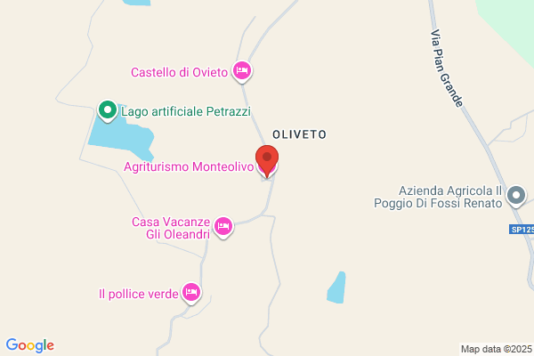 MONTE OLIVO SVC STATION