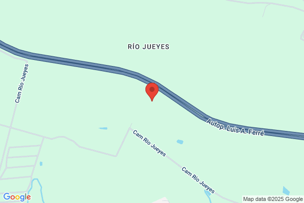 RIO JUEYES SVC STATION