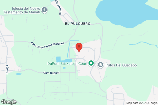 BRISTOL MYERS BARCELONETA INC