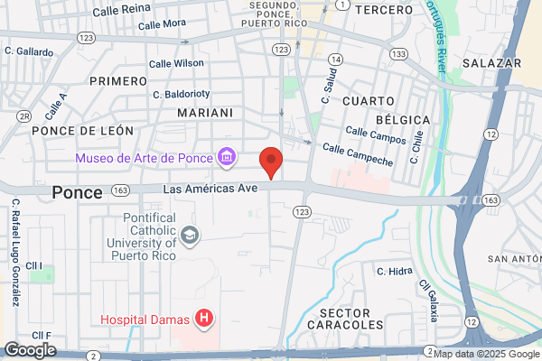 ANDRES M DELANOY COROMI MD