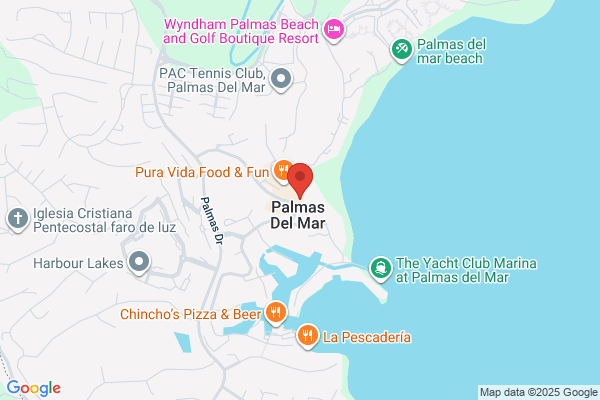 FLYING PIZZA
