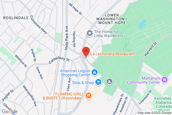 LECHONERA & PIZZERIA EL
