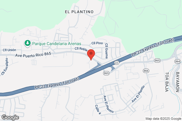 Caribe Plumbing Services