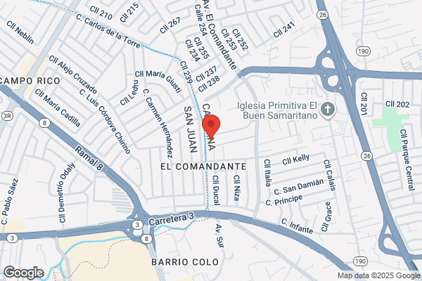 BORINQUEN PRINTERS INC