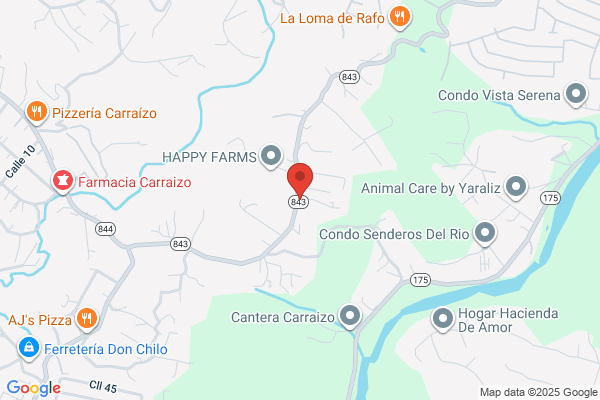 AMPAOLA REAL ESTATE SVC INC