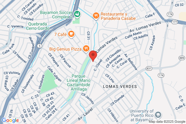 BAYAMON FINANCIAL SVC