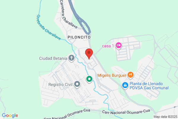 DESAROLLOS DE BETANIA SE