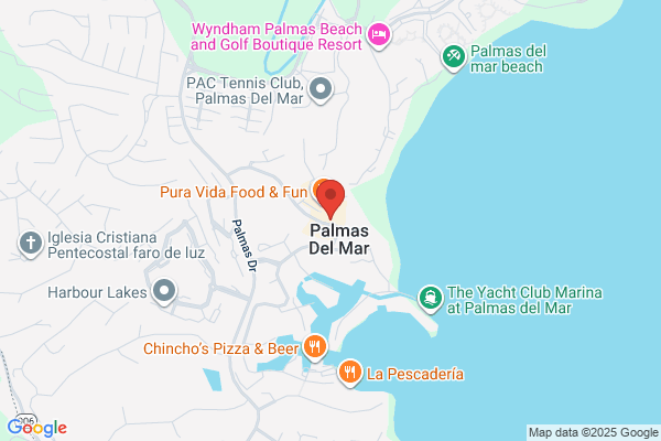 PALMANOVA CORP