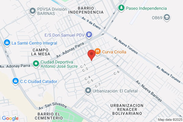 BARINAS RESTAURANT