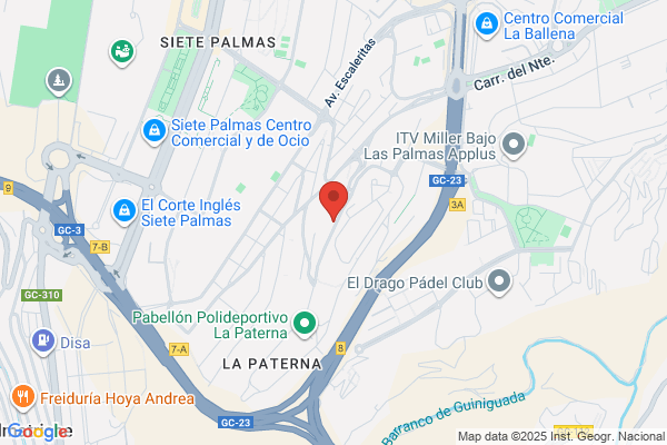 BARRIO PALMAS RESTAURANT