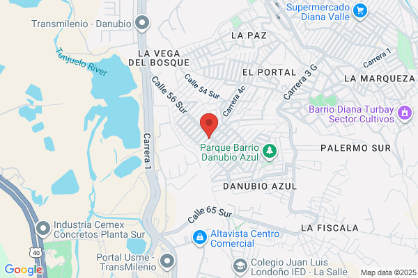 COLEGIO ALEJANDRINO INC