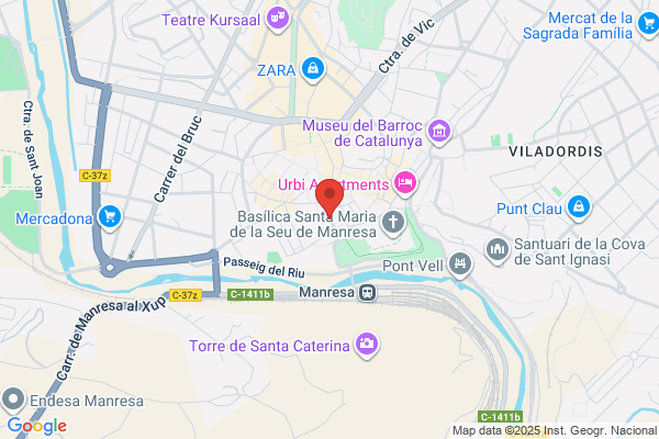 SEGURIDAD MANREZO