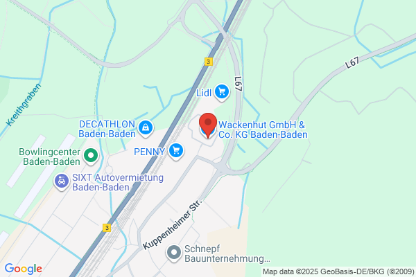 WACKENHUT CORP