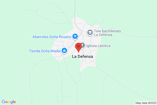LA DEFENSA