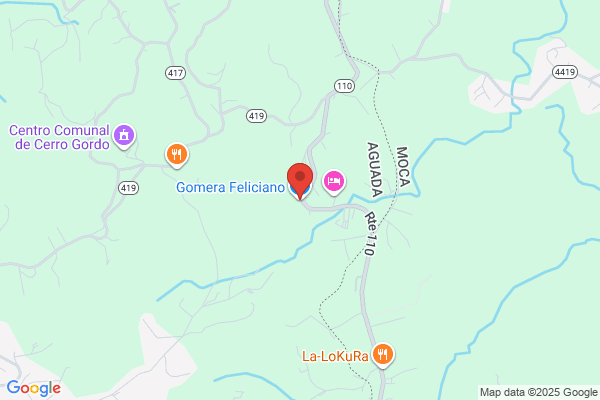 GOMERA FELICIANO AUTO PARTS