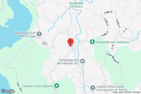 GOMICENTRO DEL CARIBE
