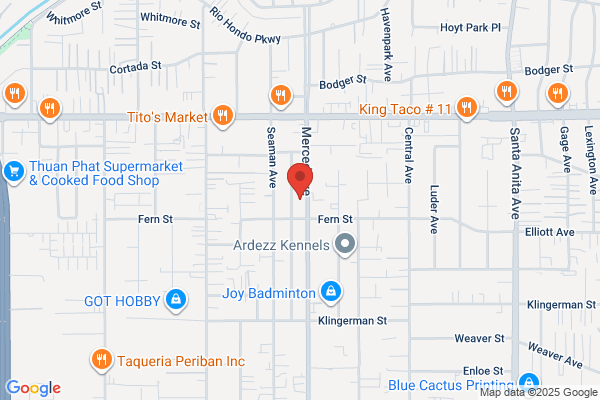 TRANSGO TRANSMISSION PARTS INC