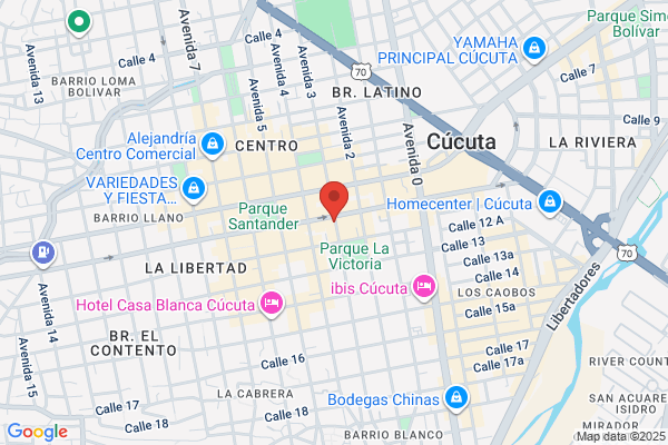 AGENCIA DE VIAJES GONZALEZ