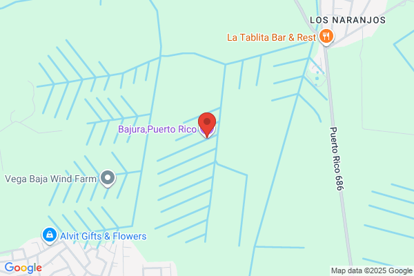 REMOLQUES DE PUERTO RICO INC