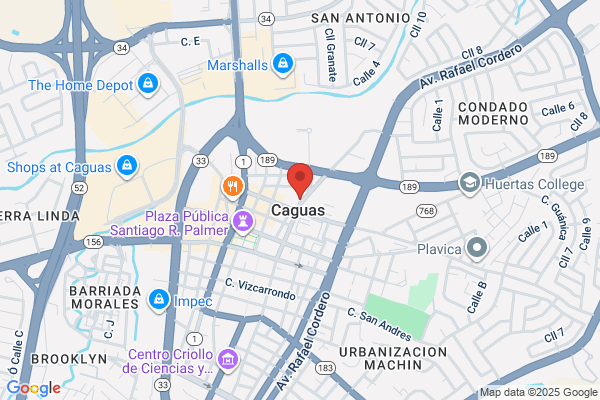 CAGUAS VETERINARY HOSPITAL