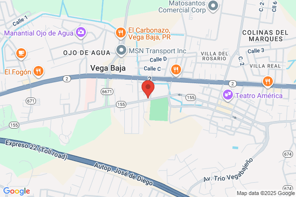 CLINICA VETERINARIA VEGA BAJA