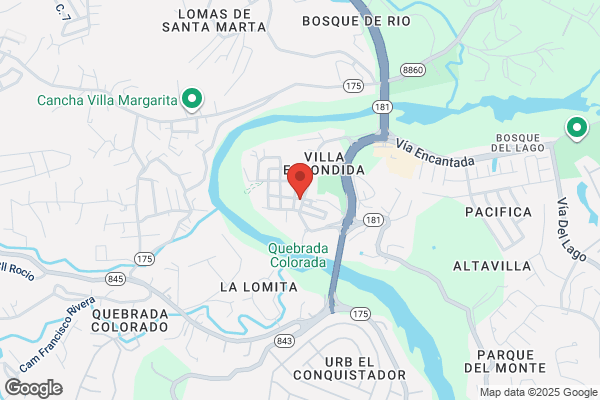 LUIS A NAVARRO RODRIG DVM