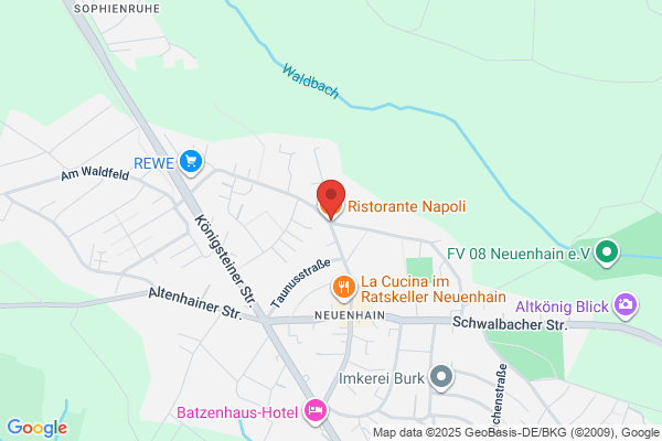 NAPOLI PIZZA RISTORANTE