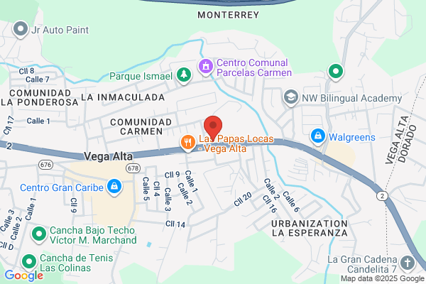VEGA ALTA MOTORS PARTS INC