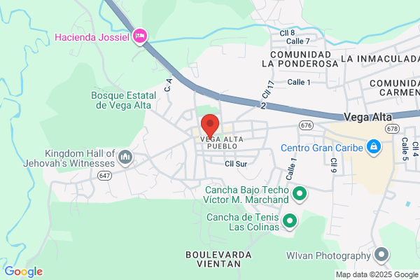 OFICINA DENTAL VEGA ALTA