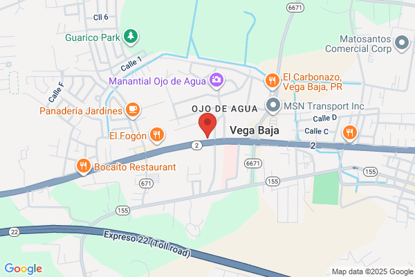 VEGA ALTA MUFFLER CTR