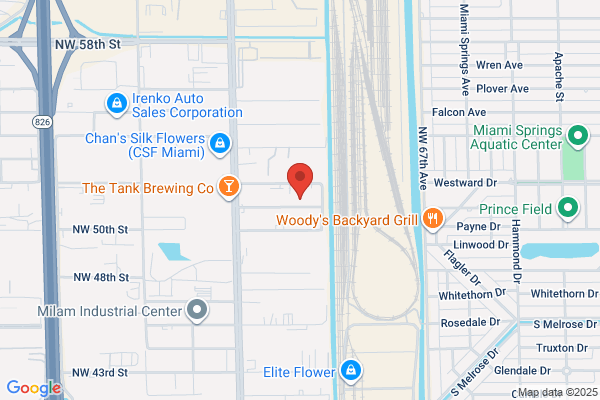 MIAMI CONNECTION